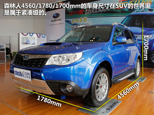 新森林人S-EDITION实拍 运动越野新风潮