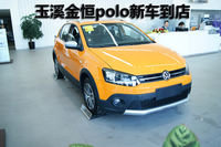 体验SUV越野性能  全新Cross Polo将跨界进行到底