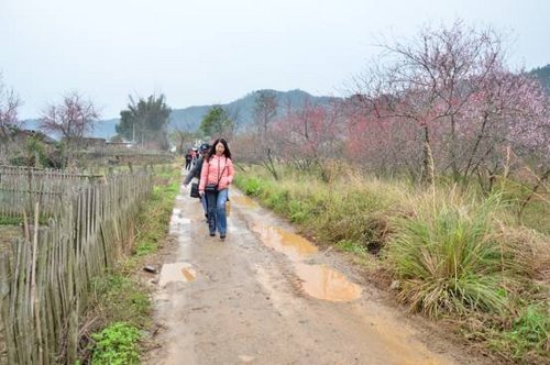 深圳中汽南华双龙爱心植树自驾之旅手记