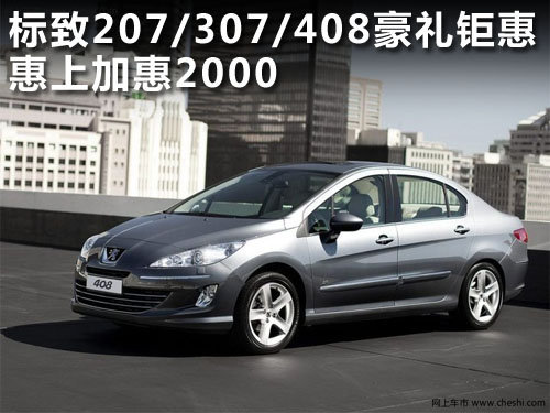 保定 中冀威狮 东风标致