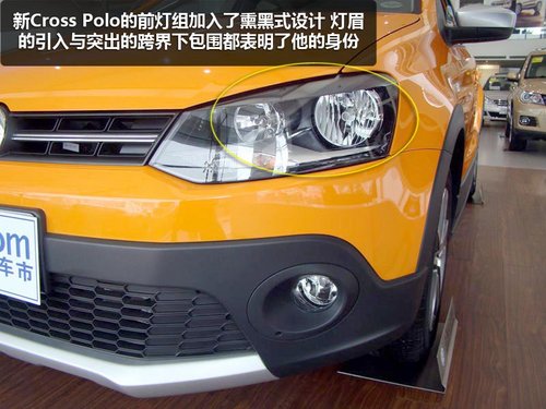 引人注意的小家伙 实拍新款Cross Polo