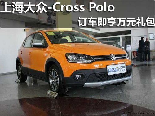淄博 众悦 上海大众 Cross Polo