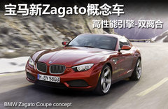 宝马Zagato正式亮相 手工打造/性能升级