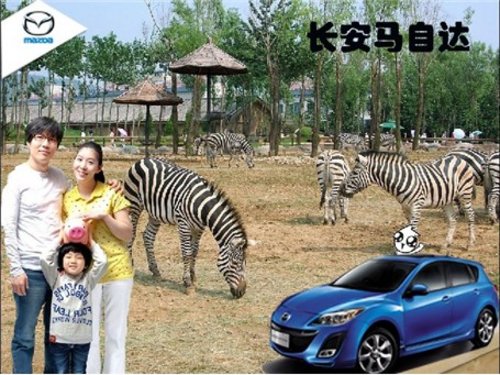 苏州六和马自达  邀您上海动物园一日游