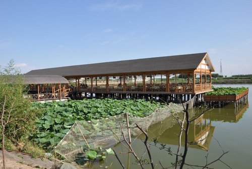 天航瑞晨红色之旅——白洋淀自驾游
