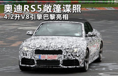 奥迪发布S/RS新车售价 高性能vs高价签