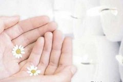 鄂市顺宝行葵花助学金为社会公益作贡献