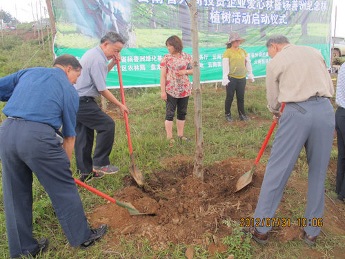履行社会责任云南德凯捐资支持绿化建设