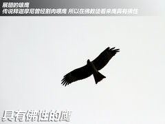 驱车跨越世界屋脊 海马尼泊尔-拉萨游记