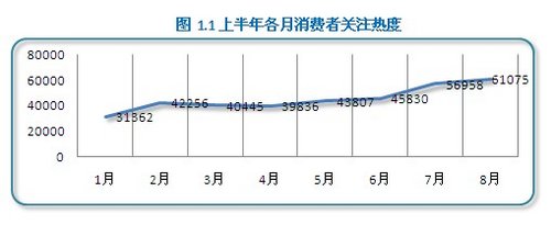 网上车市 2012年消费者关注度研究报告