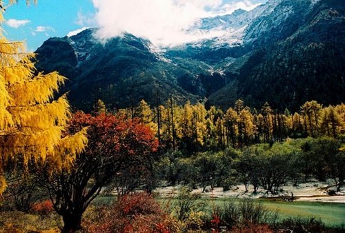 金秋赏风景 雷诺风景限量优惠3万元