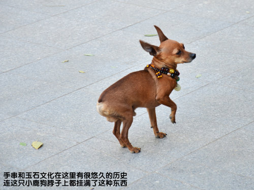 跨越青藏高原 新汉兰达穿越青藏线之旅