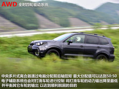新欧蓝德对比新森林人