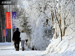 深眠浅出岂枉然 岁末吉林长白山雪中游