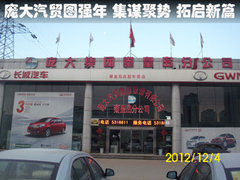 庞大汽贸图强年 集谋聚势 拓启新篇