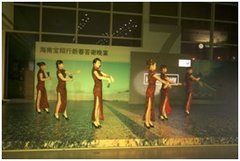 海南宝翔行2013年新春客户答谢活动画上圆满符号