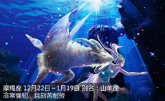 星座控的星座配对 情人节个性选车指南