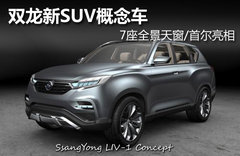 双龙新SUV概念车 7座全景天窗/首尔亮相