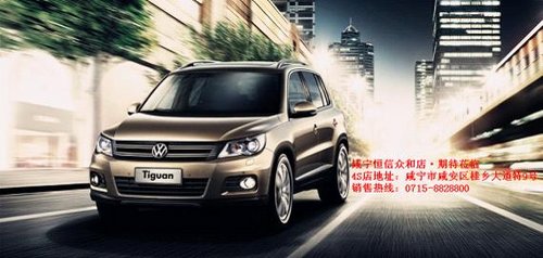 咸宁上海大众途观 本月最后2台现车销售
