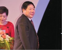 庞大集团:庞庆华的春天