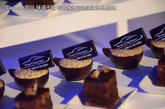 杨宗纬助阵 保时捷全新Cayman北京上市