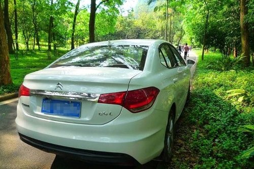 與小四行走在春天里，詩(shī)情畫意！