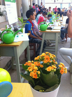 BMW“和植物做朋友”环保主题活动结束