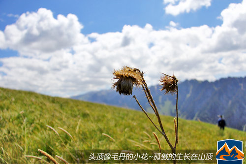 路虎發(fā)現(xiàn)無止境 尋找中國最美前線之旅