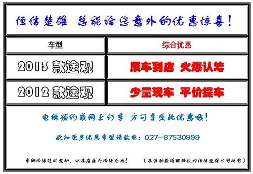 武汉上海大众恒信楚雄2013途观认筹会
