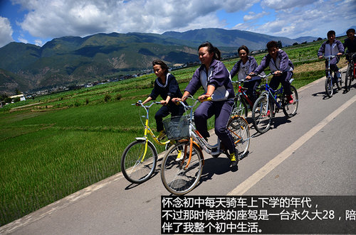 壁虎中国行第一天 在大理苍山采茶制茶