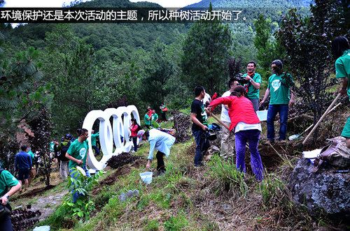 壁虎中国行第一天 在大理苍山采茶制茶