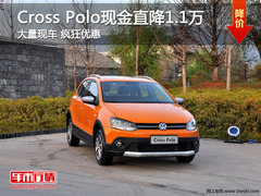 邯郸大众Cross Polo现金疯狂直降11000元