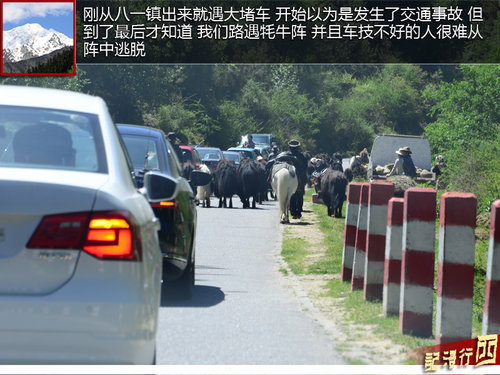 初次感受西藏文化 拉萨至林芝地区游记