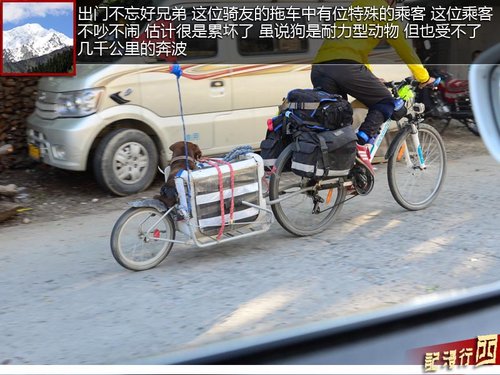 鲁朗林海/藏族美食 鲁朗林海-林芝游记