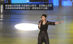 杨澜/孙燕姿助阵 奥迪销售200万辆庆典