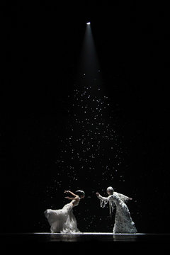 沈阳华宝携手车主共赏杨丽萍《孔雀》舞剧