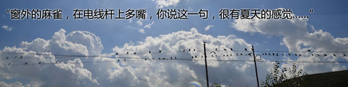 2013路虎大会 领略蓝天白云的草原风情
