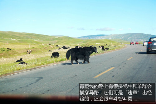 行走在云端 全新胜达/新途胜青藏线之旅