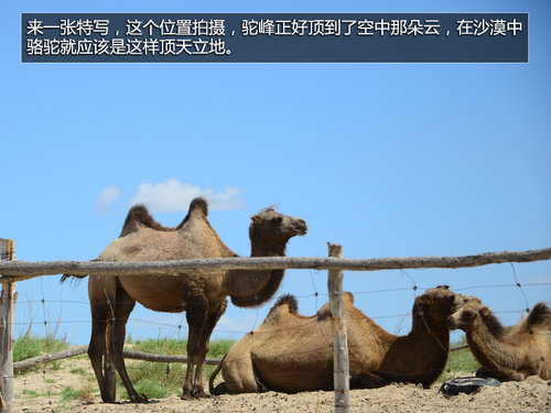 奔驰新ML游内蒙玉龙沙湖 换肺-养眼之旅