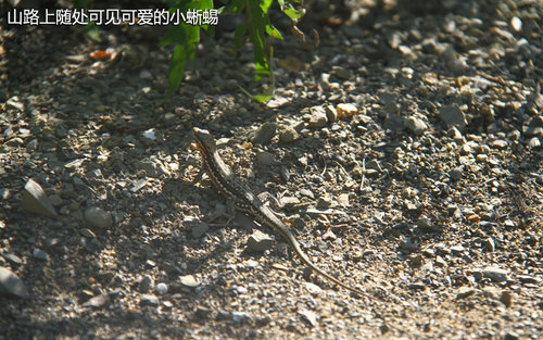 走进百里画廊 联通昊普第四届环保之旅