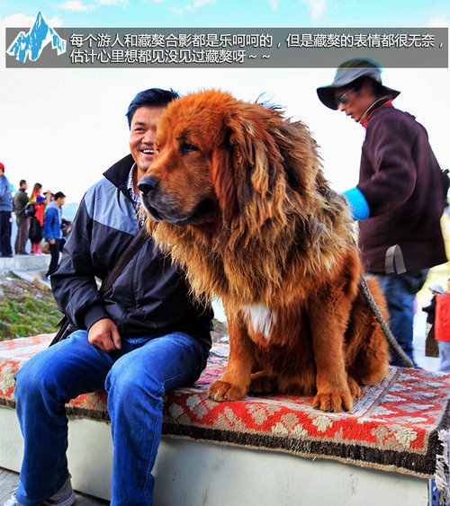 探访人间圣地 拉萨/珠峰/加德满都-游记