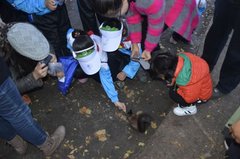 2013年“BMW 童悦之家”环保主题活动