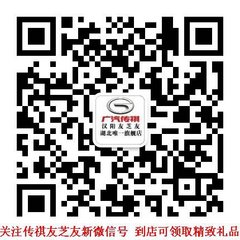 来国博车展看传祺 传祺友芝友店送您票
