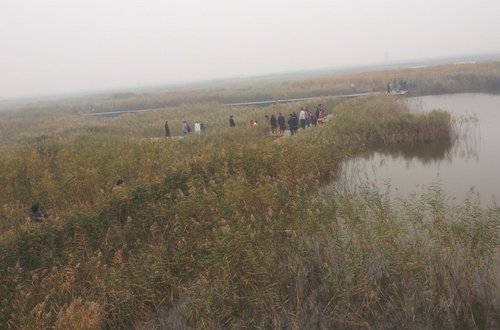 唐山起亚自驾游唐海湿地公园温泉之旅