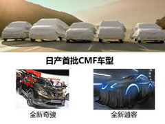新前脸/新平台打造 新逍客11月7日发布