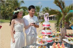 全新捷达梦想婚礼登陆三亚站浪漫举行