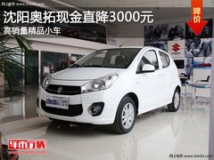 沈阳奥拓现金直降3000元 高销量精品小车