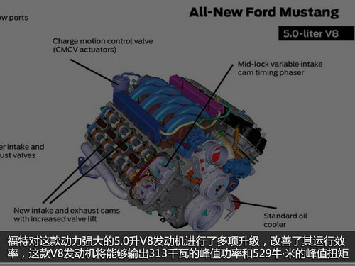 福特全新野马2015年上市 仅推两款引擎