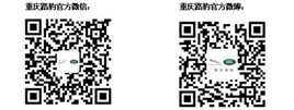 路豹神行者2代 开启自由精彩的路虎生活