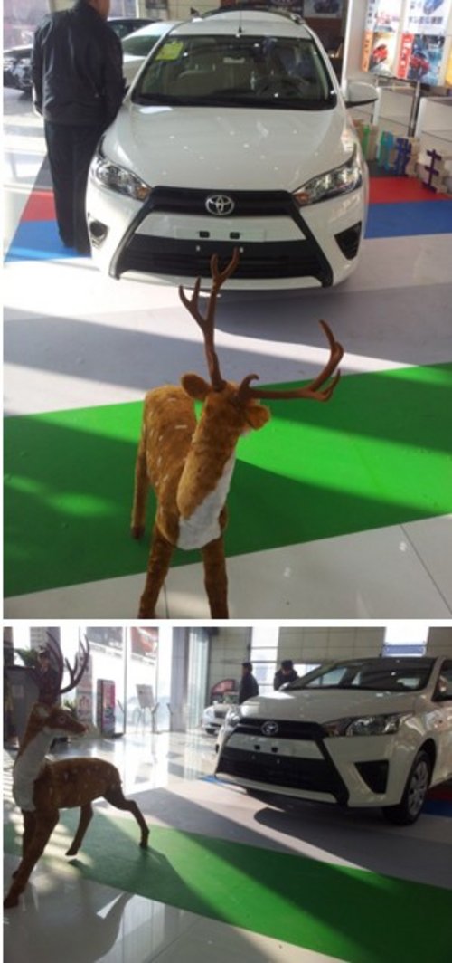 圣诞节来广龙丰田店  圣诞小鹿带你赏车
